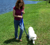 loose leash training