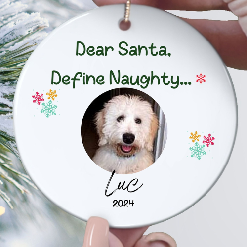 Santa, define naughty Christmas ornament for dog lovers