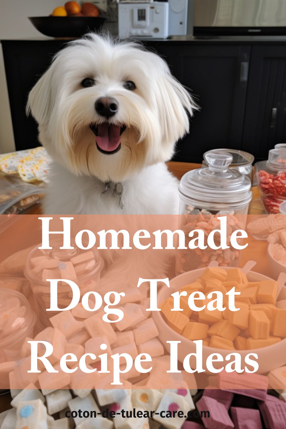 Homemade Healthy Dog Treat Recipes for Every Occasion