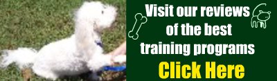 dog training reviews