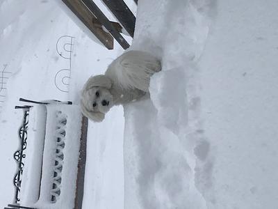 Really, do I have to go out there to pee?