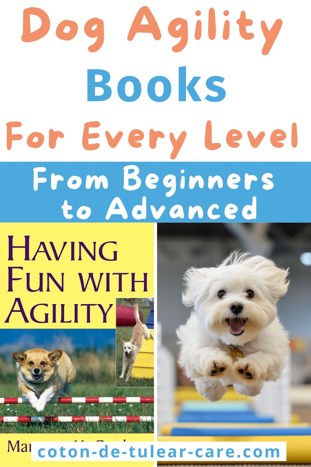 dog agility books that will help beginners as well as advanced agility enthusiasts